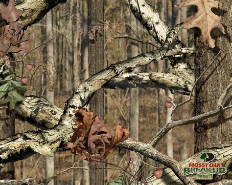 🔥 [40+] Mossy Oak Camo Wallpapers | WallpaperSafari