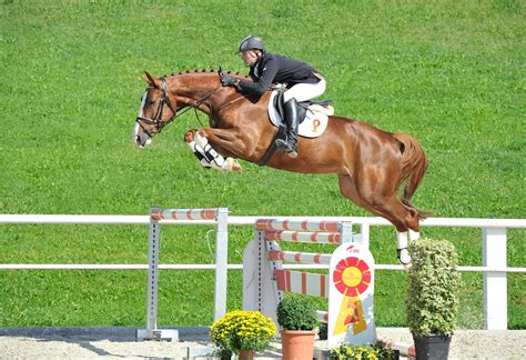 El Mundo del Caballo: Salto de obstáculos