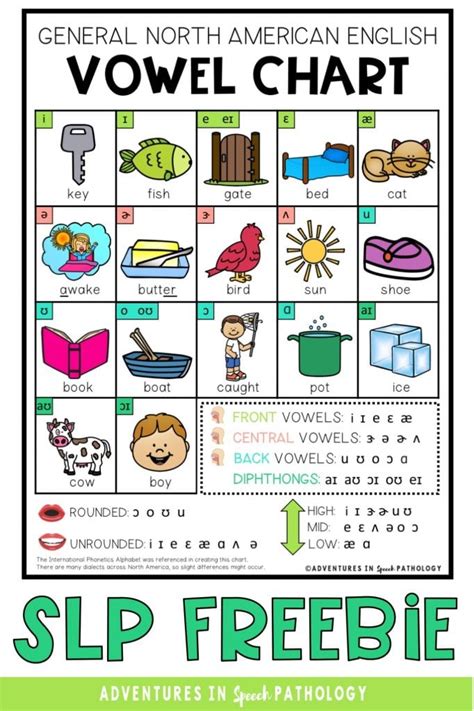 Vowel Chart Resources for Speech Therapy Rooms