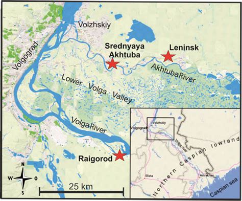 Map showing the location of the three Lower Volga sites Srednyaya ...