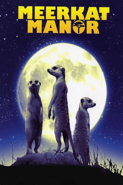 Watch Meerkat Manor Online | Season 1 (2005) | TV Guide