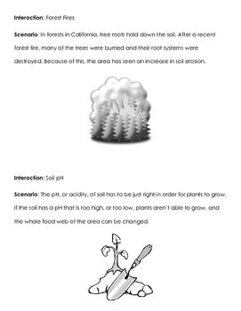 Earth Systems Interactions by Science Magic | Teachers Pay Teachers