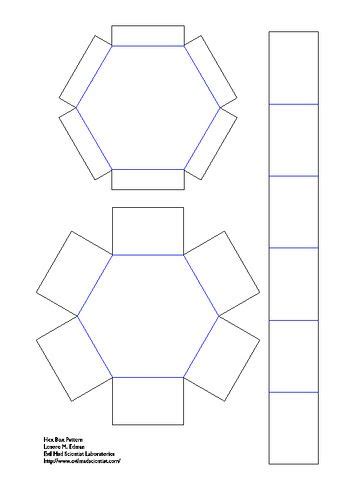 Hexagon Box Template Vector