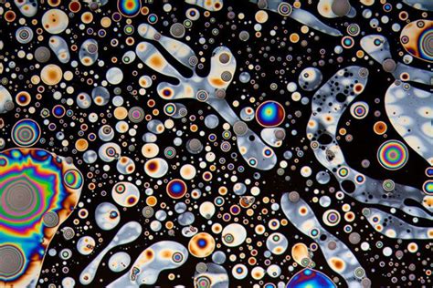 Microscope Photos Show the Abstract Beauty of the World All Around Us ...