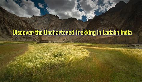 Discover the Unchartered Trekking in Ladakh India | Waytoindia.com