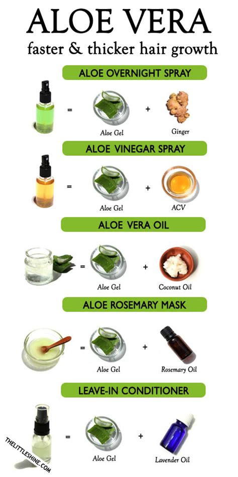 WAYS TO USE ALOE VERA FOR HAIR GROWTH – The Little Shine