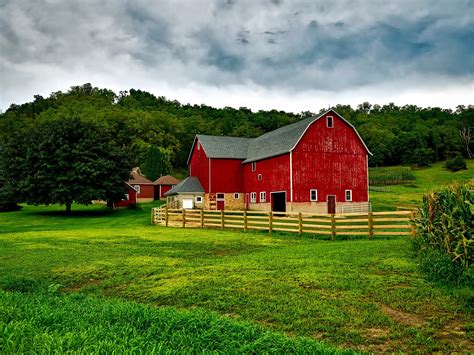 Farm Names: How to Choose the Best One + 51 Examples - Farmhacker.com