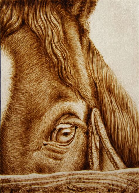 "Oculus" Horse up close! Animal Pyrography by Cara Jordan | Pyrography ...