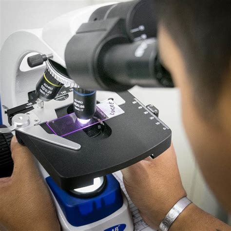 What Is a Parfocal Microscope? Pros, Cons and How It Works - Optics Mag