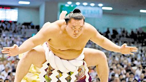 Meet Hakuho Sho, the greatest sportsman you’ve never heard of ...