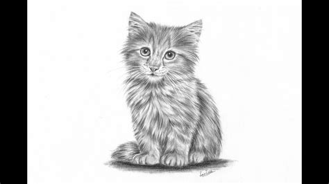 How to draw a realistic kitten part 2: Fur and details | Leontine van ...