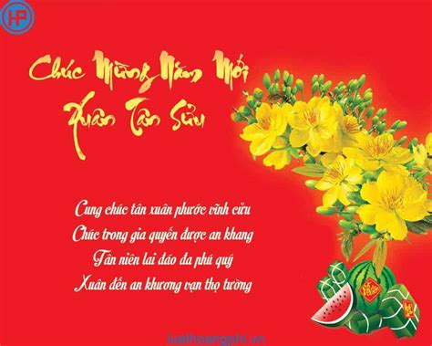 Những Bài thơ chúc tết 2024 vui vẻ, ý nghĩa, hài hước, hay nhất