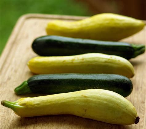 Blooming Glen Farm | Summer Squash & Zucchini