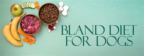 Bland Diet For Dogs: 4 Accurate Things You Need to Consider!