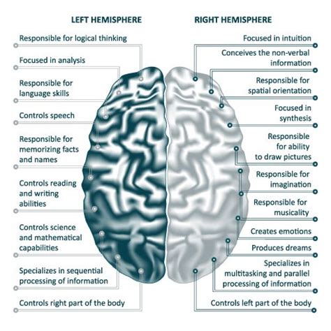 Benefits of Cortical Priming for Stroke Rehabilitation | Stroke ...