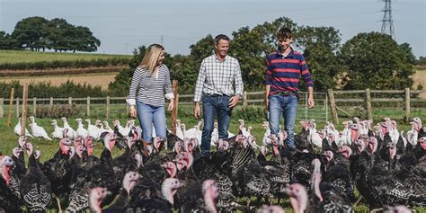 Meeting the UK's Turkey Farmers at Christmas - Great British Chefs