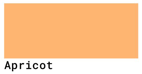 Apricot Color Codes - colorcodes.io