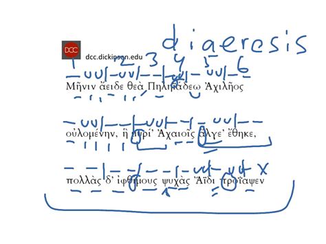 Reading Homer 3 Dactylic Hexameter | Language, Greek, Homer, scansion ...