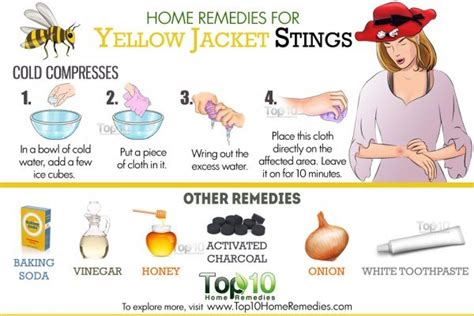 Home Remedies for Yellow Jacket Stings | Top 10 Home Remedies