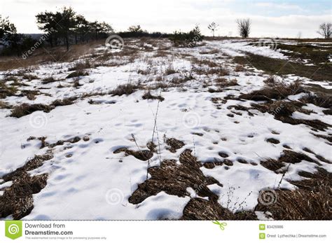 Spring snow melt_7 stock photo. Image of warm, grass - 83426986