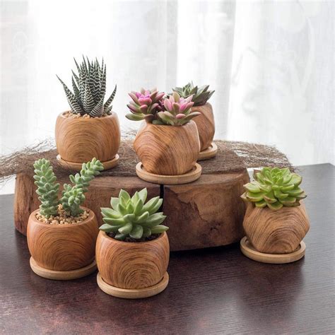 Pequeñas macetas decorativas para pequeñas plantas suculentas - EL BLOG ...