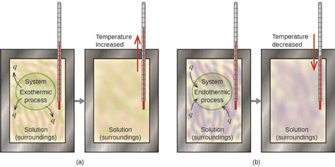 Calorimetry - UCalgary Chemistry Textbook