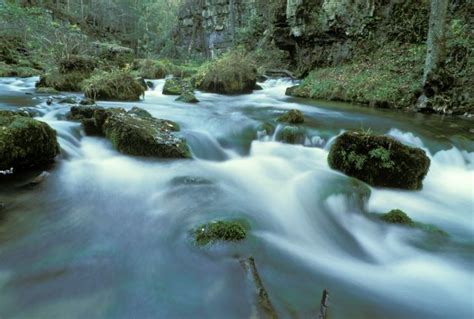 Greer Spring | Missouri Department of Conservation