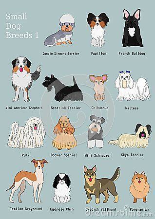 Cute Dog Breeds With Names