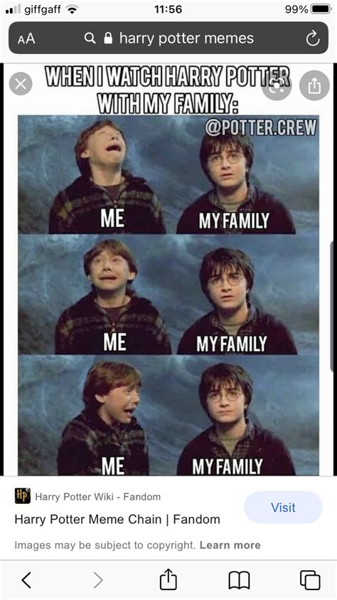 Harry Potter meme | Fandom