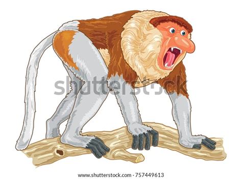 Proboscis Monkey Cartoon Detail Illustration Stock Vector (Royalty Free ...