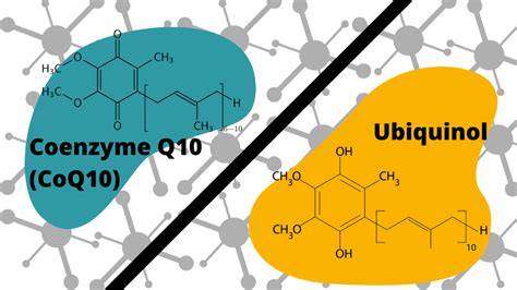 What is the Difference Between Coq10 and Ubiquinol?