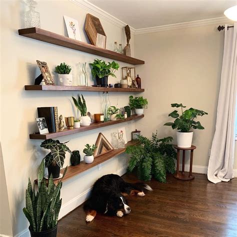 30 Indoor Plant Decor Ideas | How to Display Your Houseplants [2020 ...