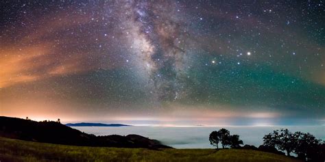 Starry Nights: Visions of the Night Sky — Wildling Museum