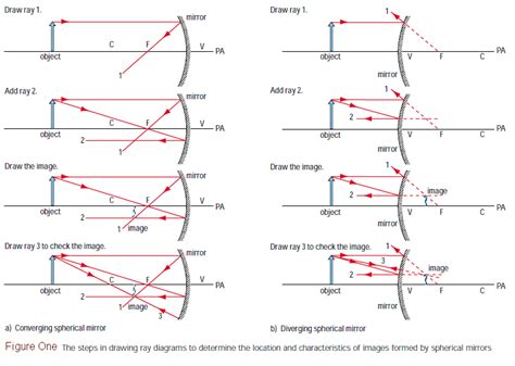 [DIAGRAM] Manta Ray Diagram - MYDIAGRAM.ONLINE