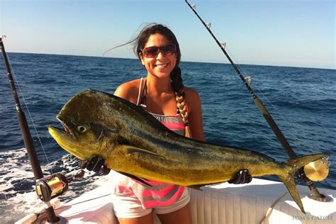 Cabo San Lucas fishing trips with Charter Phoenix 32FT (2020 prices ...