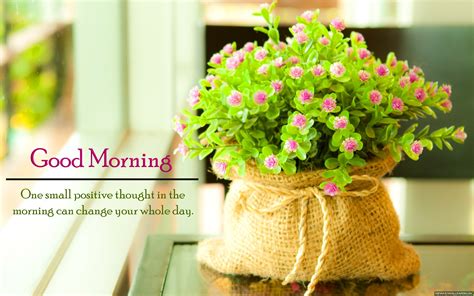 🔥 Free Download Best Good Morning Quote Flowers Hd Wallpaper New by ...