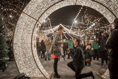 Lights at Lansdowne | Ottawa Christmas Market Website