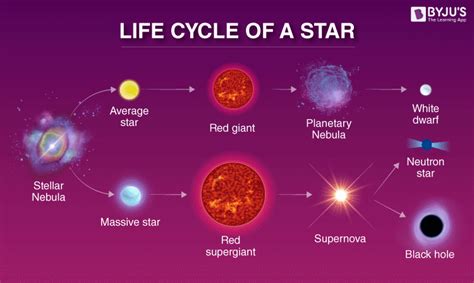 Star Life Cycle Chart Stellar Evolution Wikipedia Star Life Cycle ...