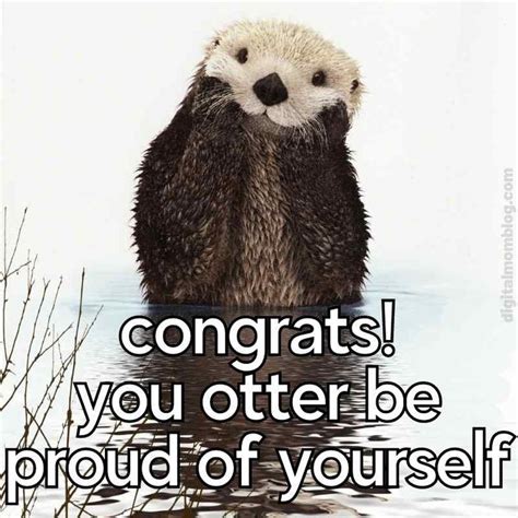 Otter Congrats Meme | 65 Best Work Anniversary Memes