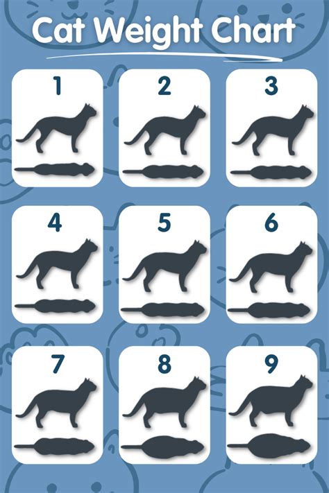 Cat Weight Chart | Healthy Cat Weight | Pet Drugs Online