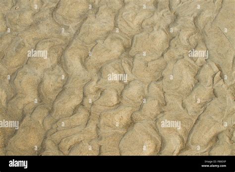 texture and background sea sand with drawing Stock Photo - Alamy