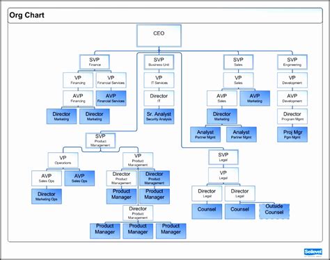 Project Org Chart Template