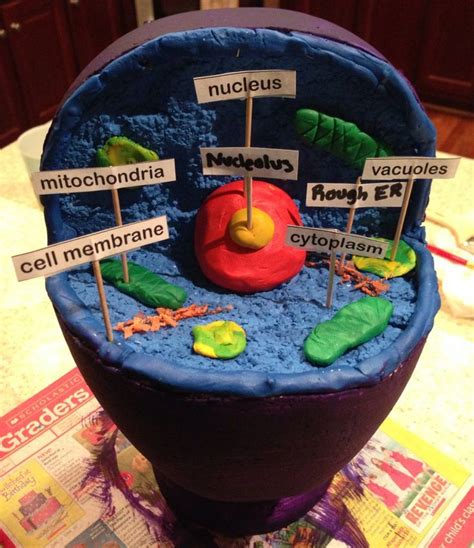 98 Ideas For How To Make A Cell Membrane 3d Model - Free Mockup