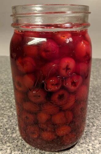 Homemade Maraschino Cherries - The Frugaler