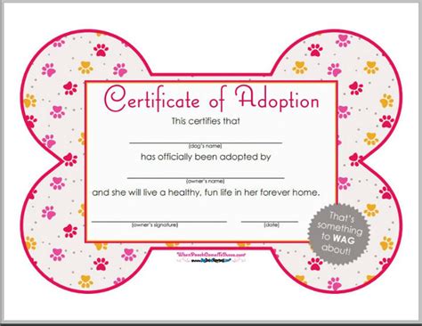 Pet Adoption Certificate Template