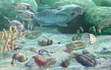 The Cambrian Period | Dinosaurs - Pictures and Facts