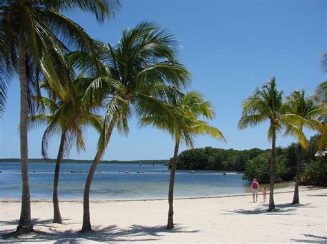 Top 5 Attractions of Key Largo, Florida - Tripatini