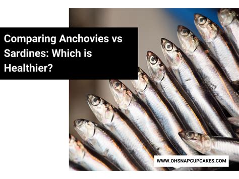 Comparing Anchovies vs Sardines: Which is Healthier? - Oh Snap! Cupcakes