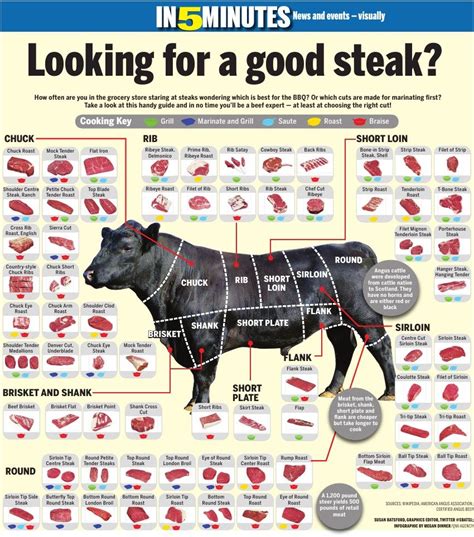 High Resolution Printable Beef Cuts Chart