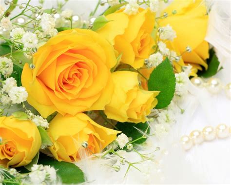 Yellow Roses Wallpapers - Wallpaper Cave